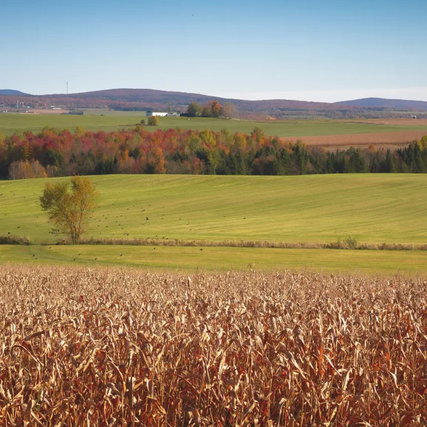 Fields and hills of the Eastern Townships in autumn colours