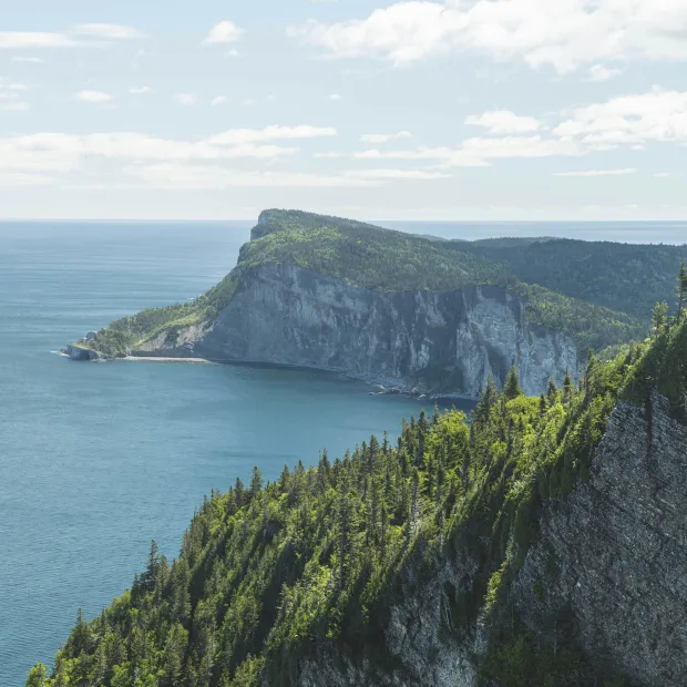 Falaises boisées plongeant dans le golfe du Saint-Laurent, en Gaspésie