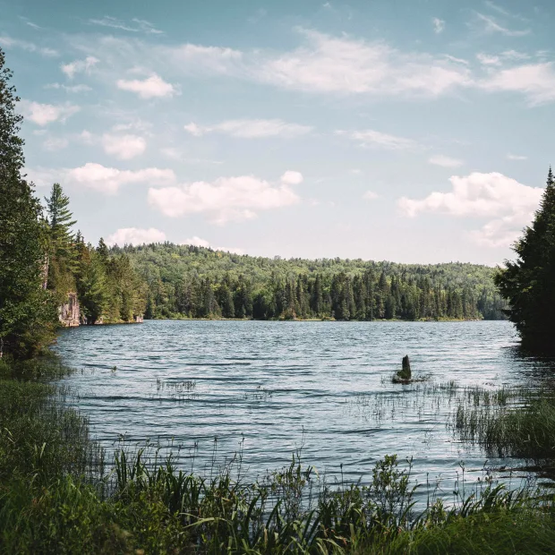 Lac bordé de forêt en Mauricie, en été